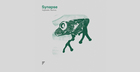 Synapse